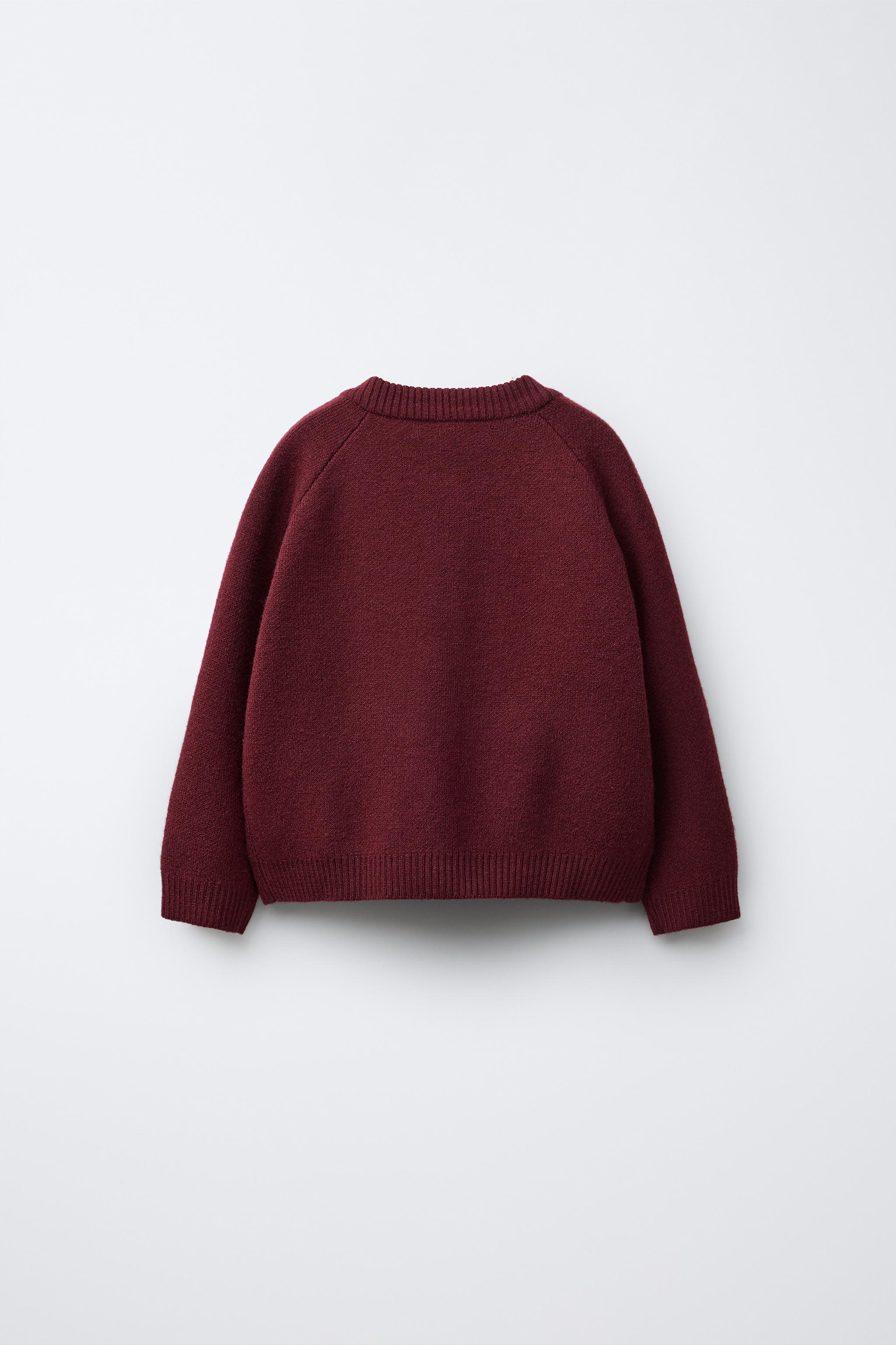 ポケモン ボンバージャケット バーガンディ BOMBER SNOOPY PEANUTS™ - バーガンディ | ZARA Japan / 日本