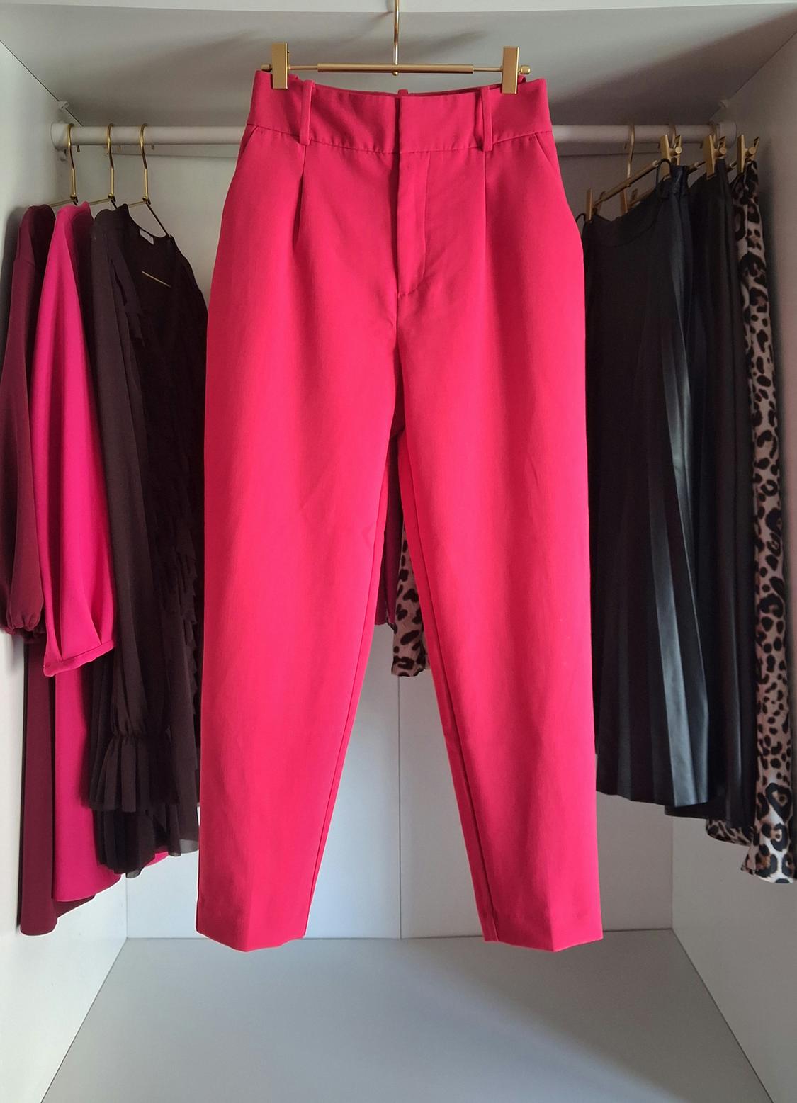 Fuchsia trousers hanging in a wardrobe next to several garments, including a pink blouse and a leopard print skirt.
