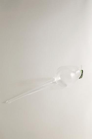 PEAR SELF-WATERING GARDEN BUBBLE - Transparent by Zara - Image 1