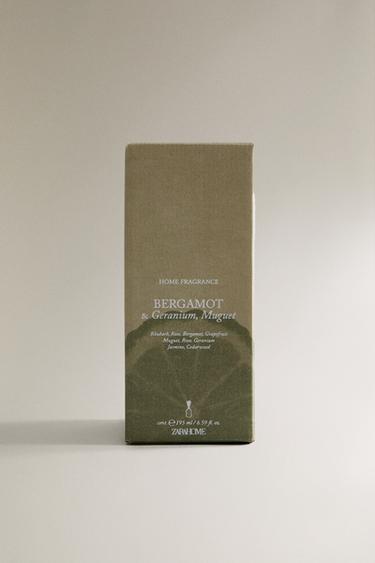 (195 ML) DIFFUSEUR EN STICKS BERGAMOT & GERANIUM, MUGUET - Vert / Gazon de Zara - Image 4