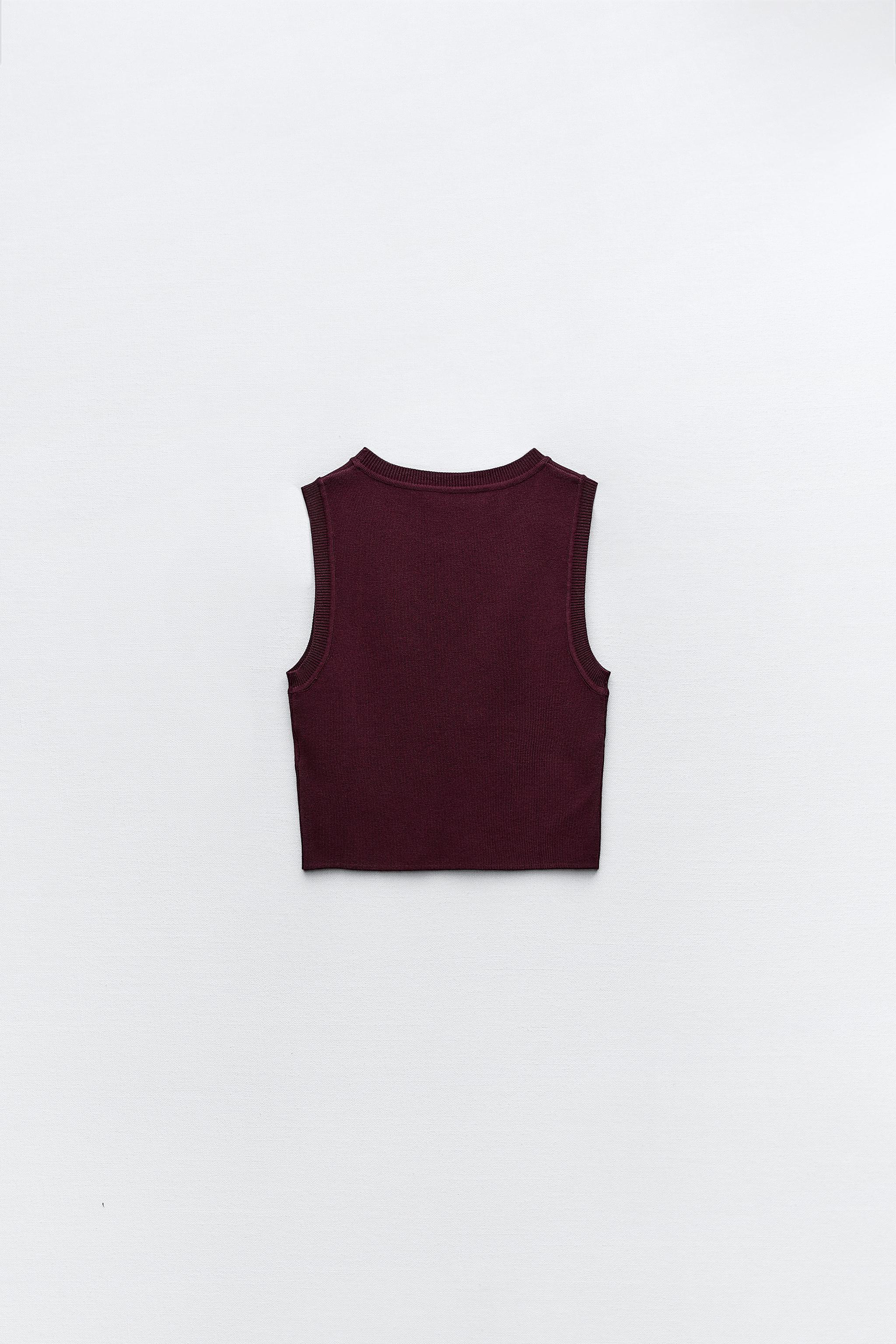 Champion sweater 2025 crop top zara