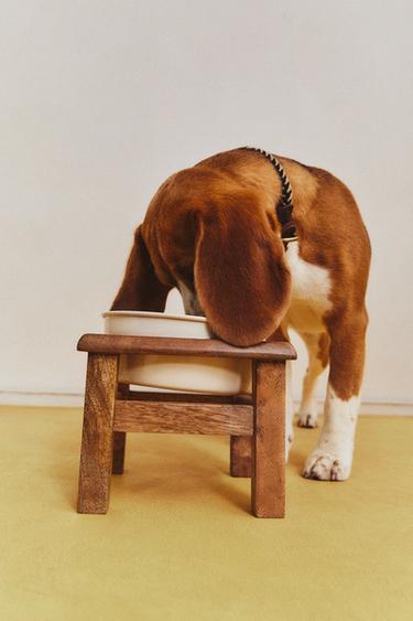 GAMELLE SUPPORT ANIMAL DE COMPAGNIE - Marron de Zara - Image 7