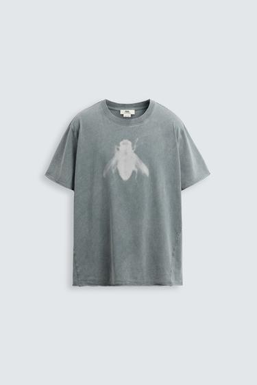 Zara WASHED FLY PRINT T-SHIRT - Gray