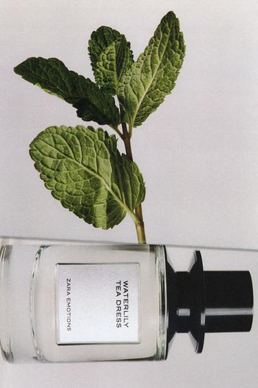 Zara WATERLILY TEA DRESS EDP 100 ML -  - Pilt 0