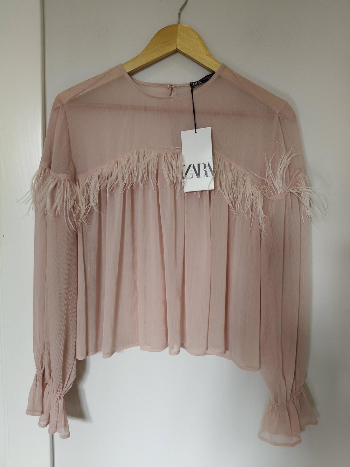 Light pink blouse with feathers on the sleeves and Zara tag, hanging on a wooden hanger against a white background.