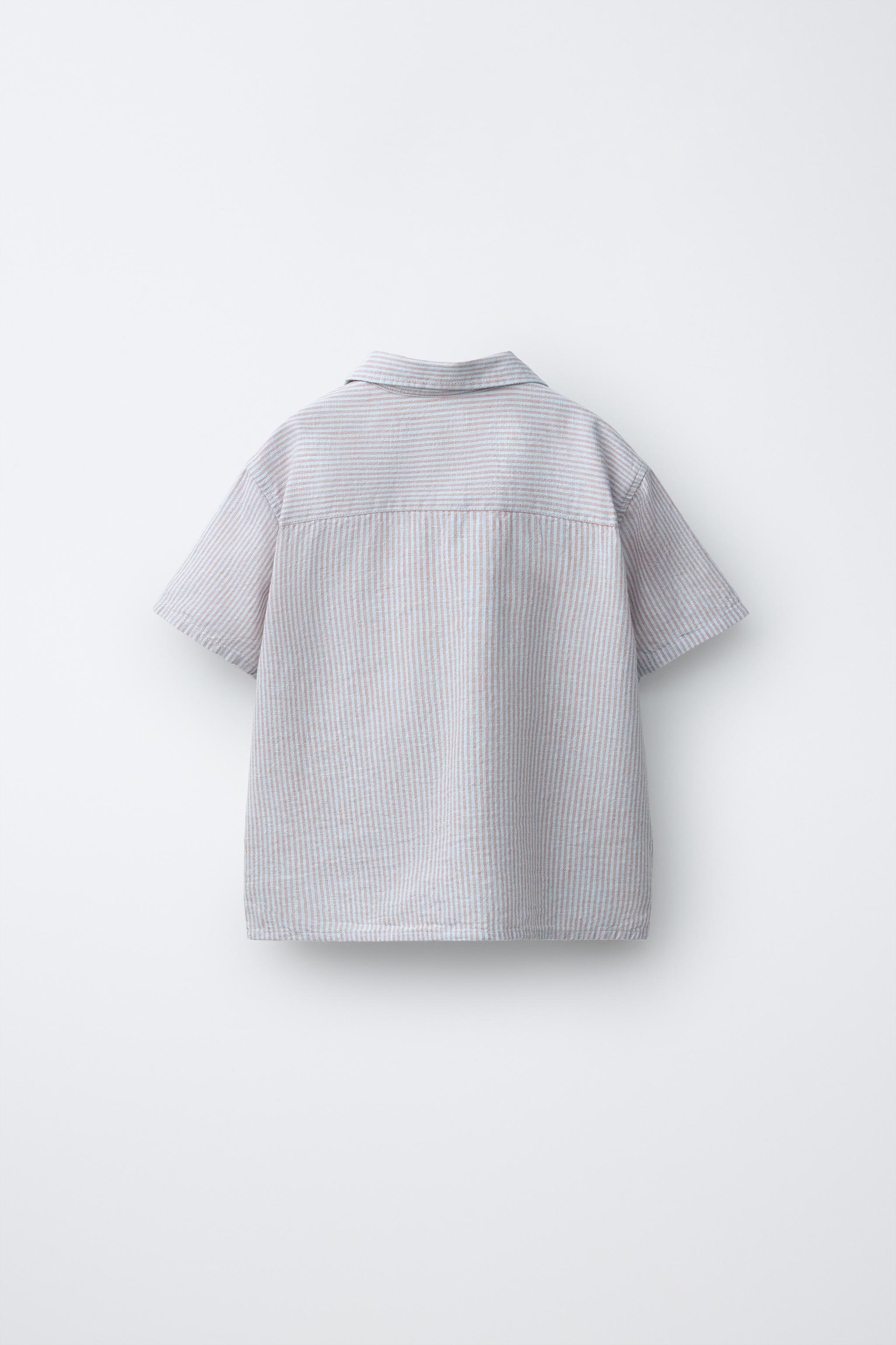 EMBROIDERED STRIPED SHIRT - Pastel blue | ZARA United States