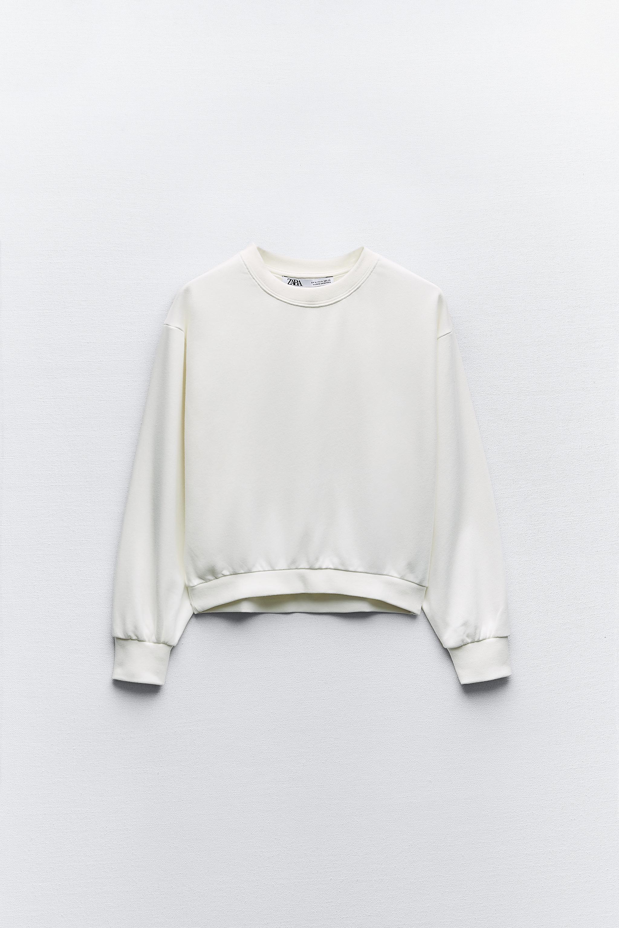 Champion sweater hotsell mint zara