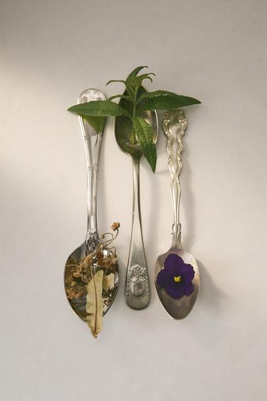 SEASONS IN SPRING SET - TINTED LEATHER by Zara