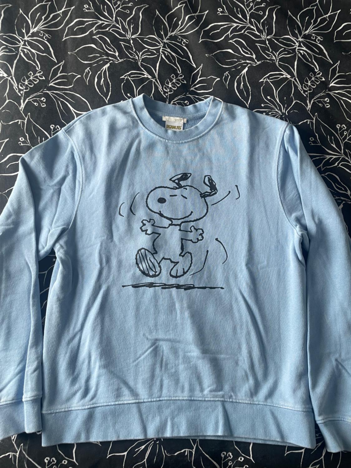 Light blue sweatshirt with a drawing of a dancing dog, on a bed with a white leaf quilt on a black background.