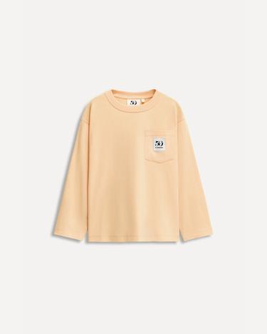 Zara 造型 - 黃褐色
