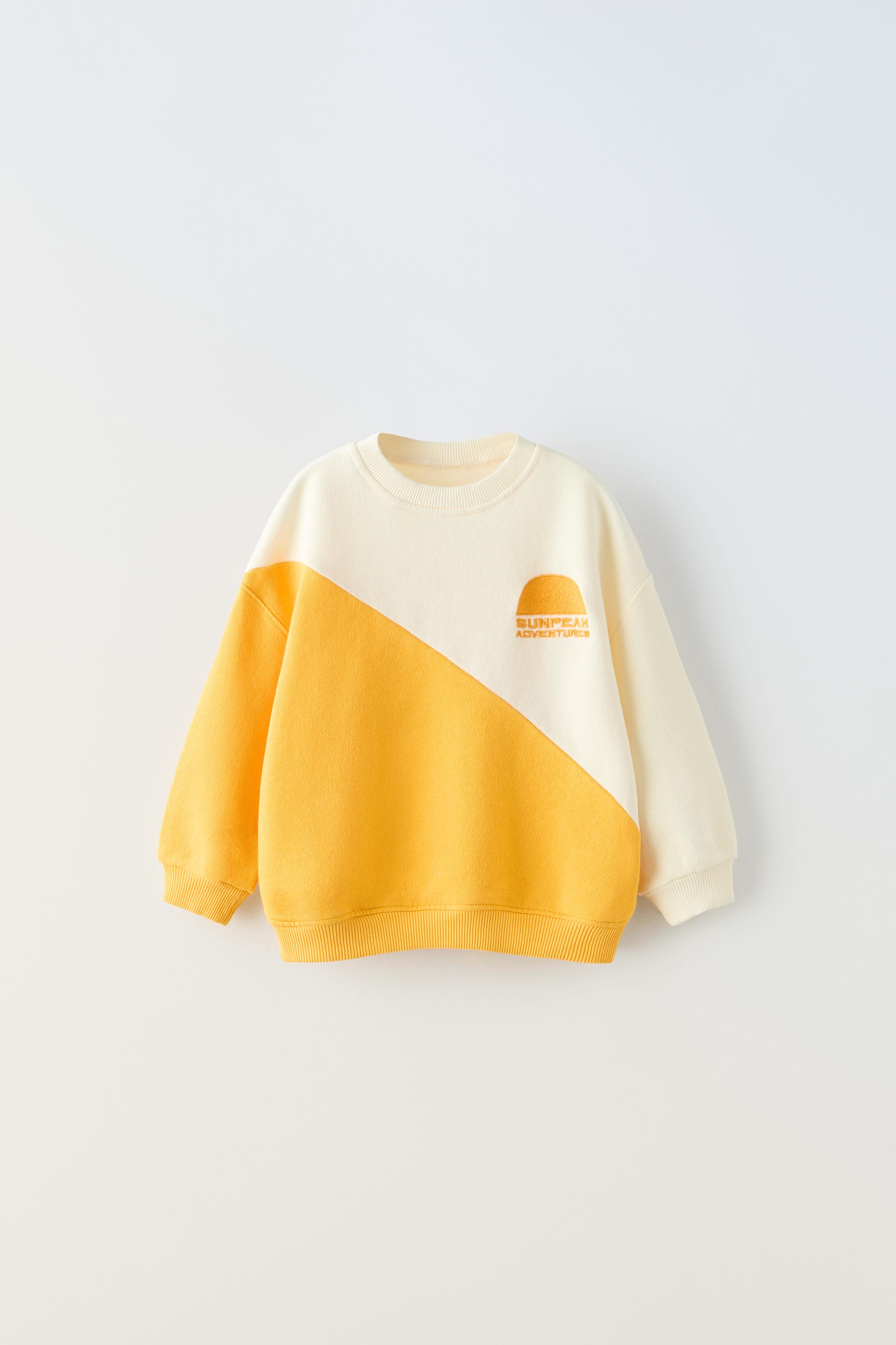 エンブロイダリー COLOUR BLOCK スウェットシャツ - プリント地 | ZARA 