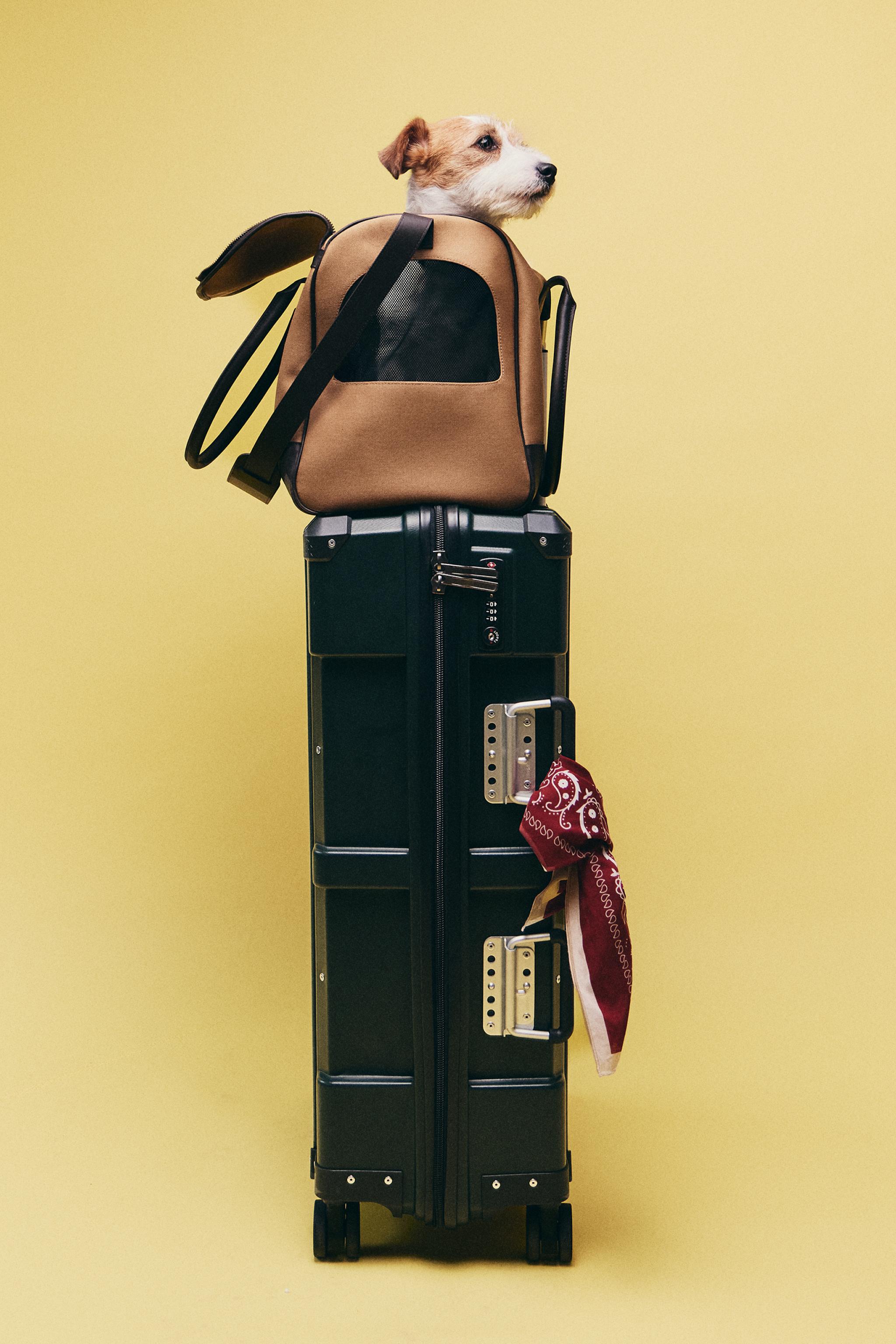 SHORT SLEEVE BLAZER SET