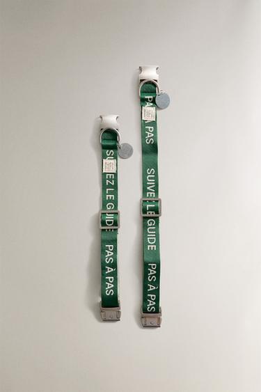 RUE DU BAC PET COLLAR - Green by Zara