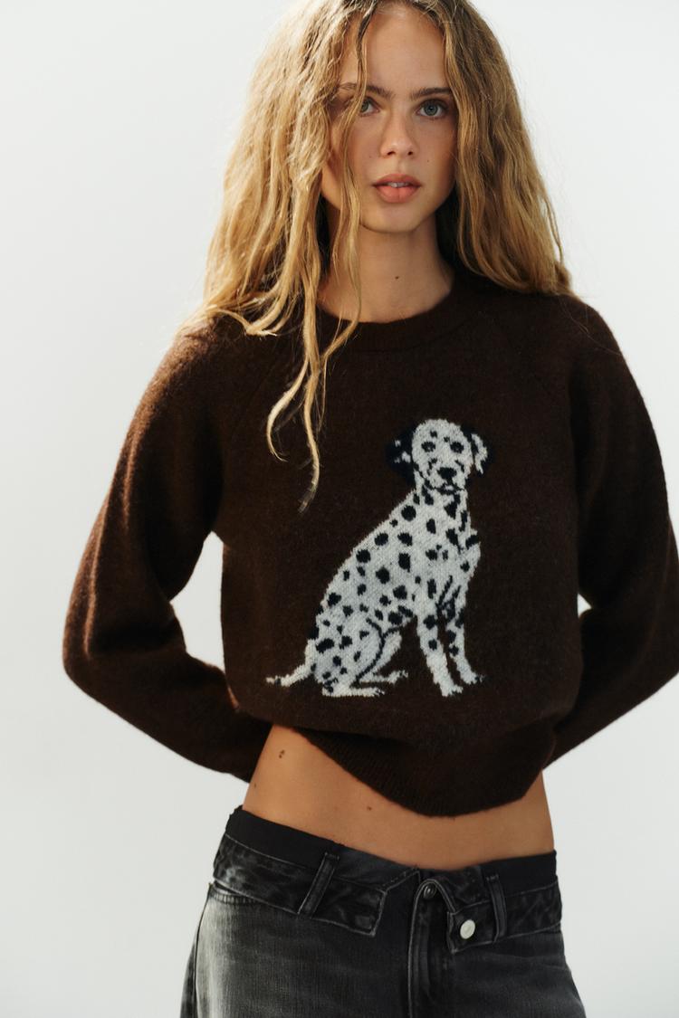 JERSEY PUNTO JACQUARD ANIMAL