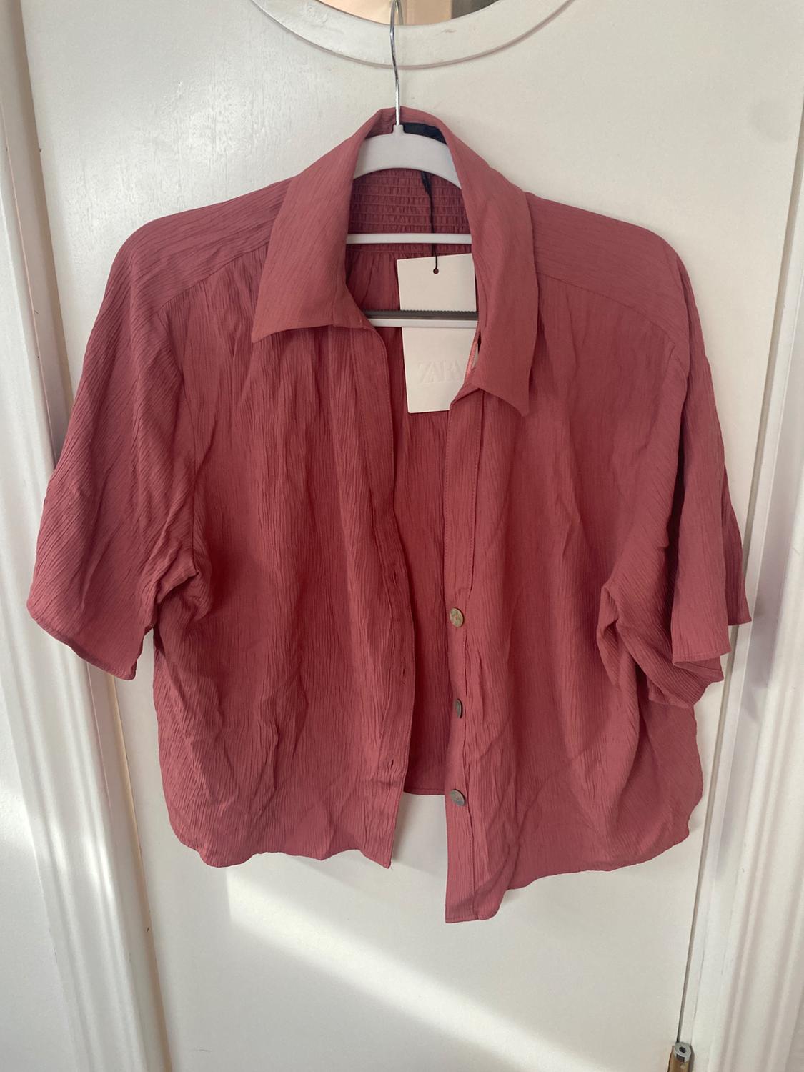 Wrinkled pink short-sleeved shirt hanging on a white hanger. Visible label with text "ZARA". White door in the background.