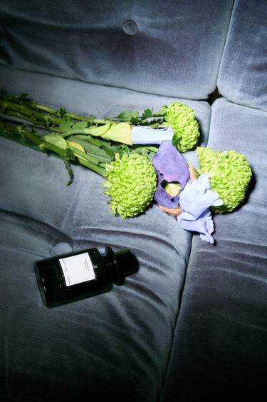 Zara ROMANCE D´IRIS PARFUM 100 毫升 (3.4 液量盎司)。 - 明淺棕色