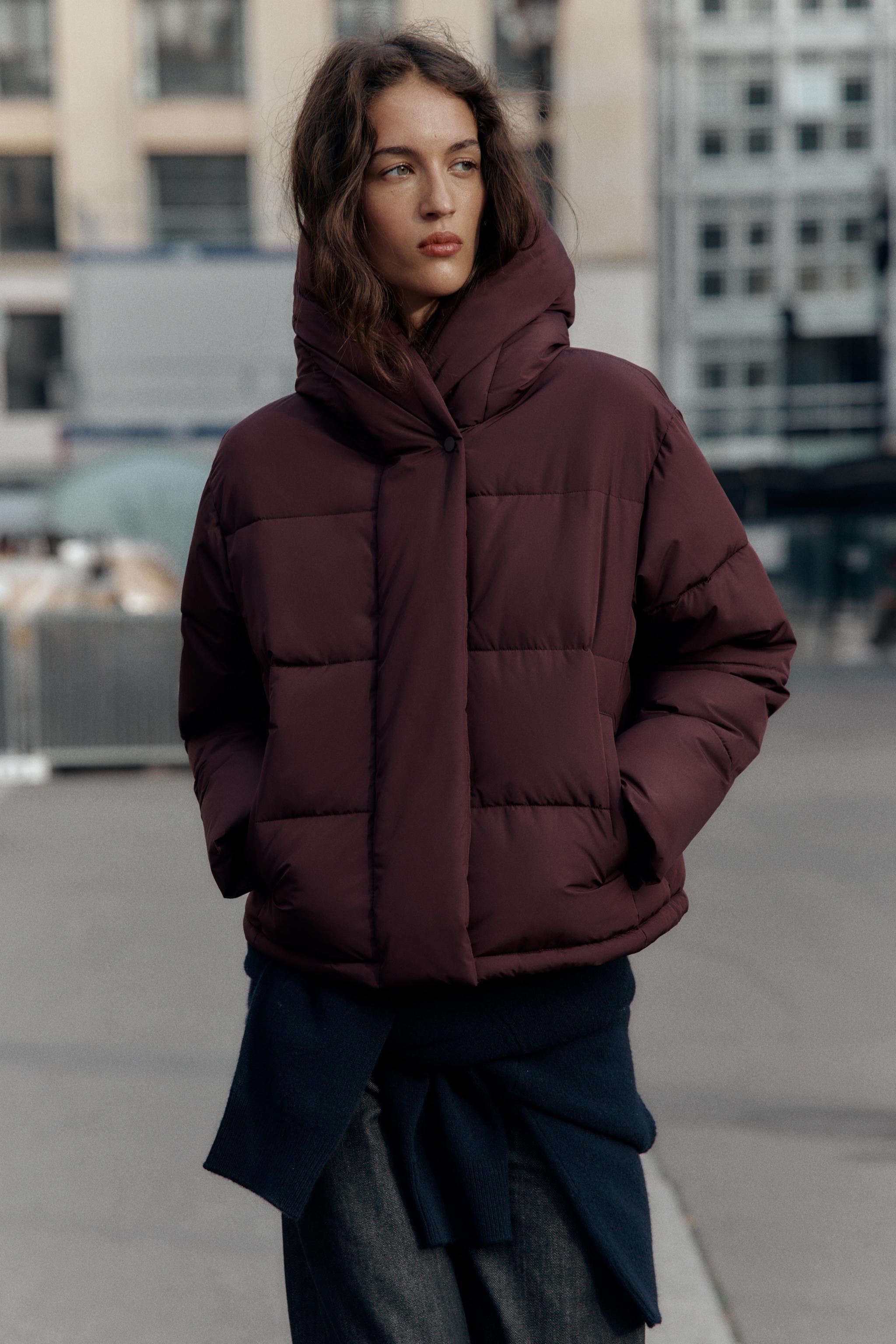 ショート丈フード付き撥水防風アノラック - バーガンディ | ZARA Japan