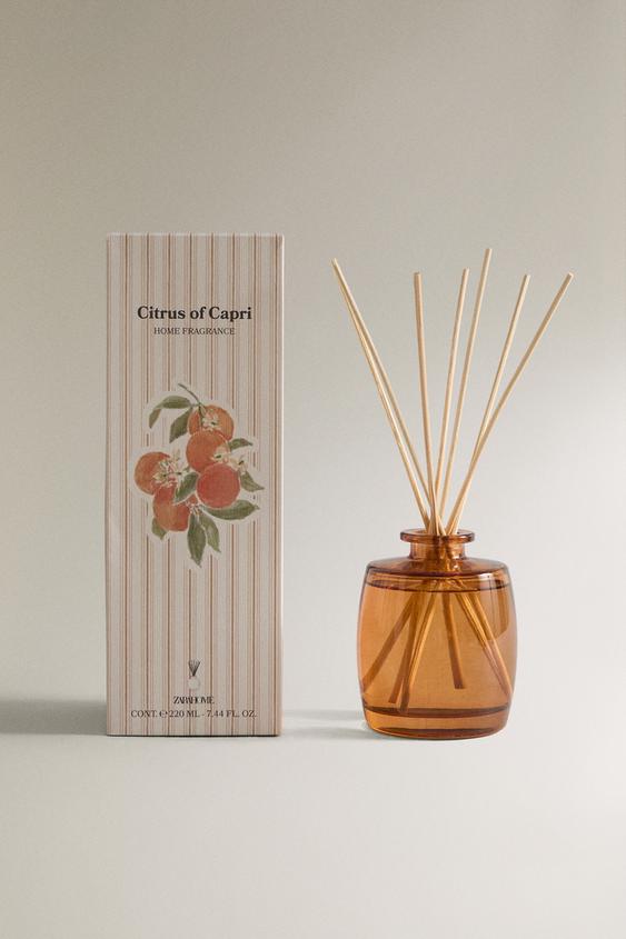 (220 Ml) Citrus Of Capri Reed Diffuser - Neon Orange 