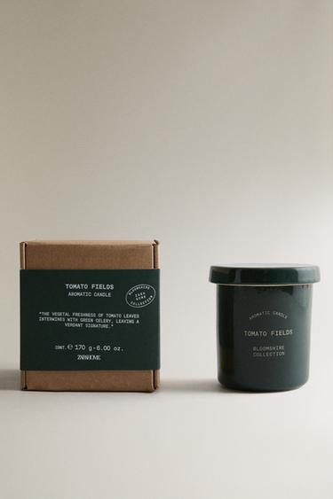 (170 G) TOMATO FIELDS SCENTED CANDLE - RED by Zara - Image 0
