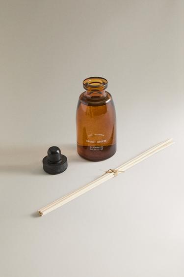 (100 ML) CARROT BREEZE REED DIFFUSERS - Oranges by Zara - Image 1