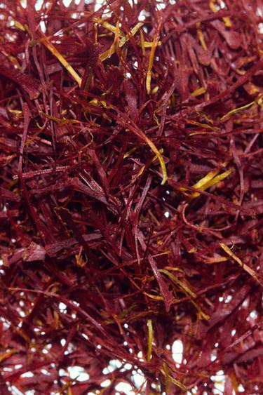 ZARA TEMPTATION LE PARFUM 80ML (2.71 FL. OZ). -  de Zara - Image 5