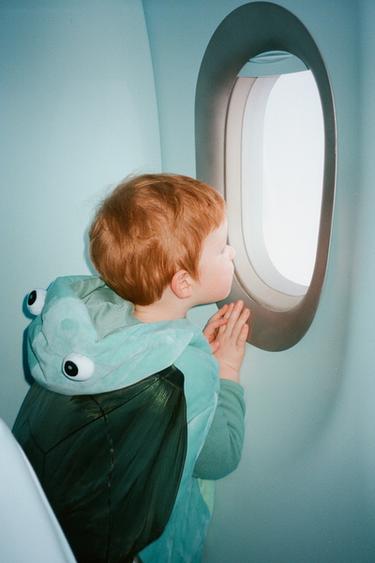 DÉGUISEMENT TORTUE - Bleu / Vert de Zara - Image 5