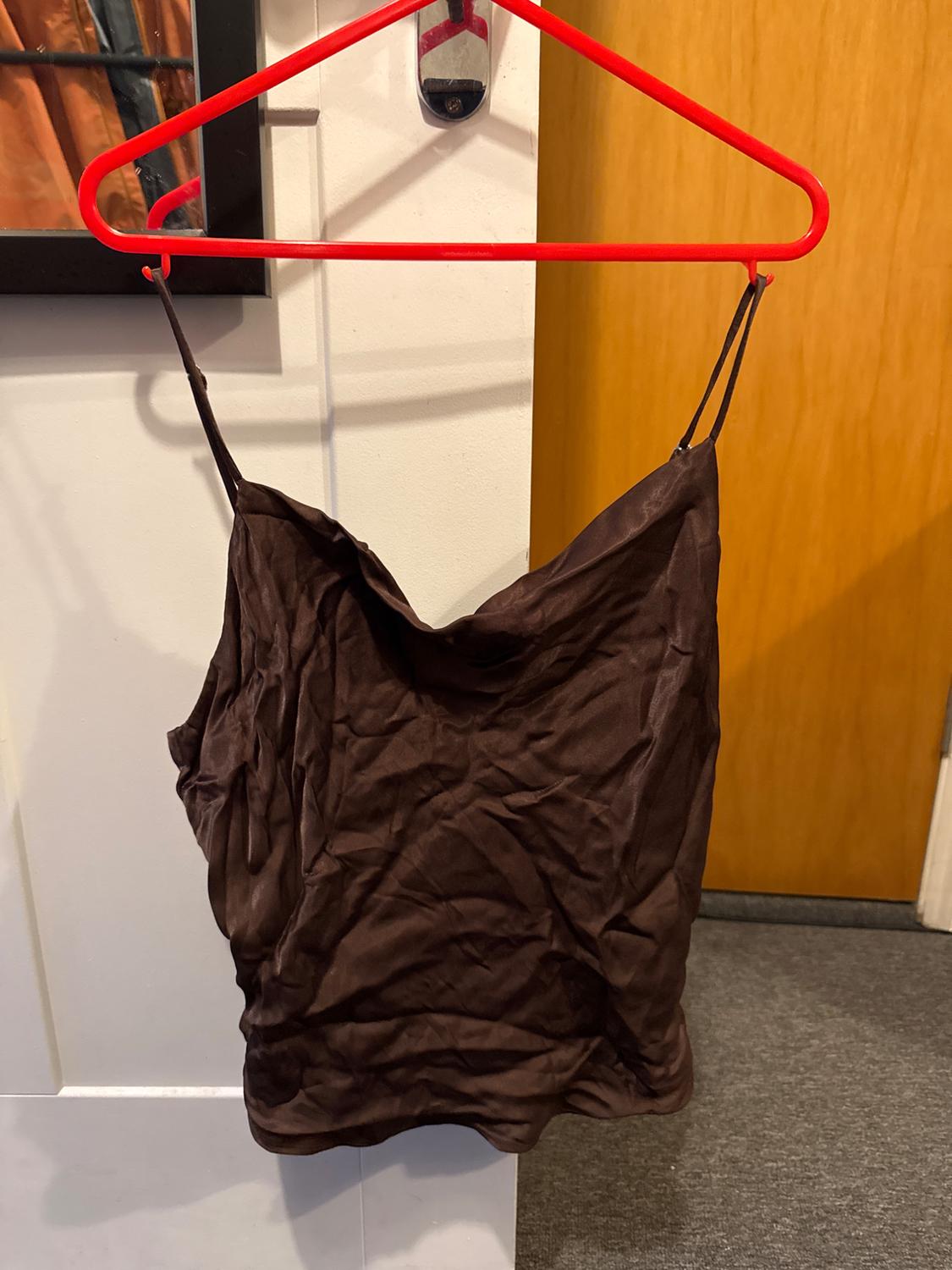 Brown wrinkled top hanging on a red hanger over a wooden door. Background with a white wall and a black picture.