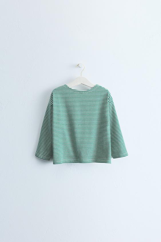 ZARA TIMELESS - T-SHIRT À IMPRIMÉ RAYURES - Vert de Zara - Image 1