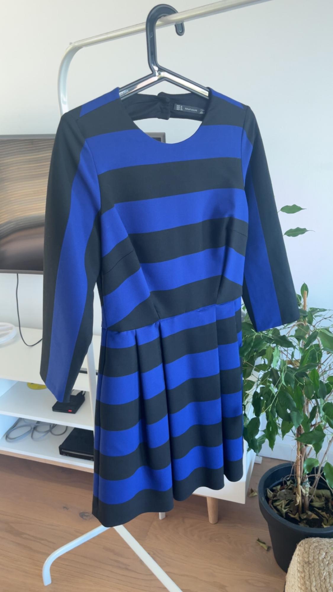 Blue and black horizontal striped dress hanging on a hanger, next to a potted plant on a wooden floor.