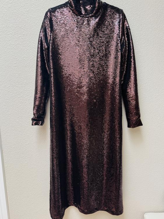 Dark brown sequined long dress with a high neck and long sleeves, hanging on a light-colored wall.