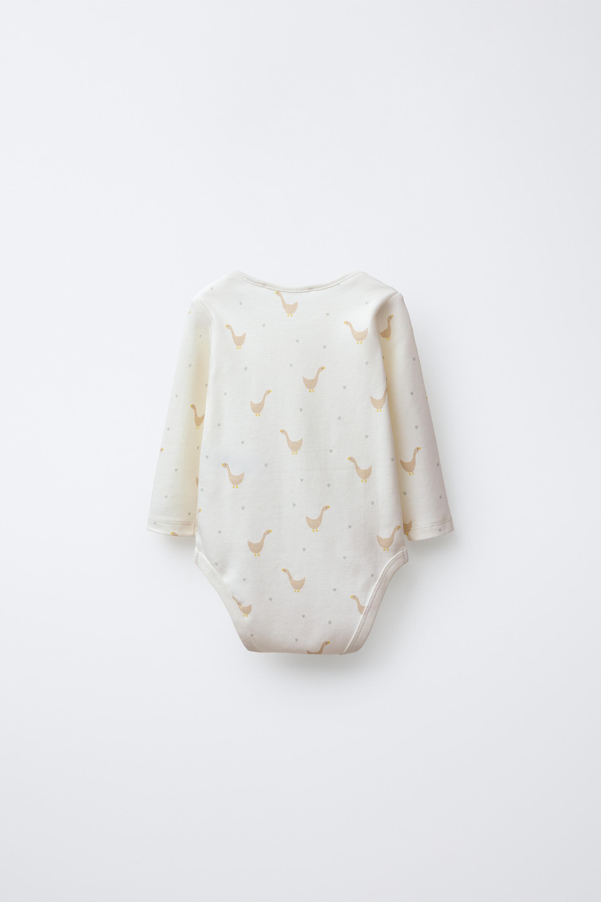 LOT DE CINQ BODYS CANARDS
