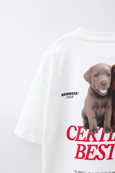 DOG PRINT T-SHIRT - White by Zara - Image 3