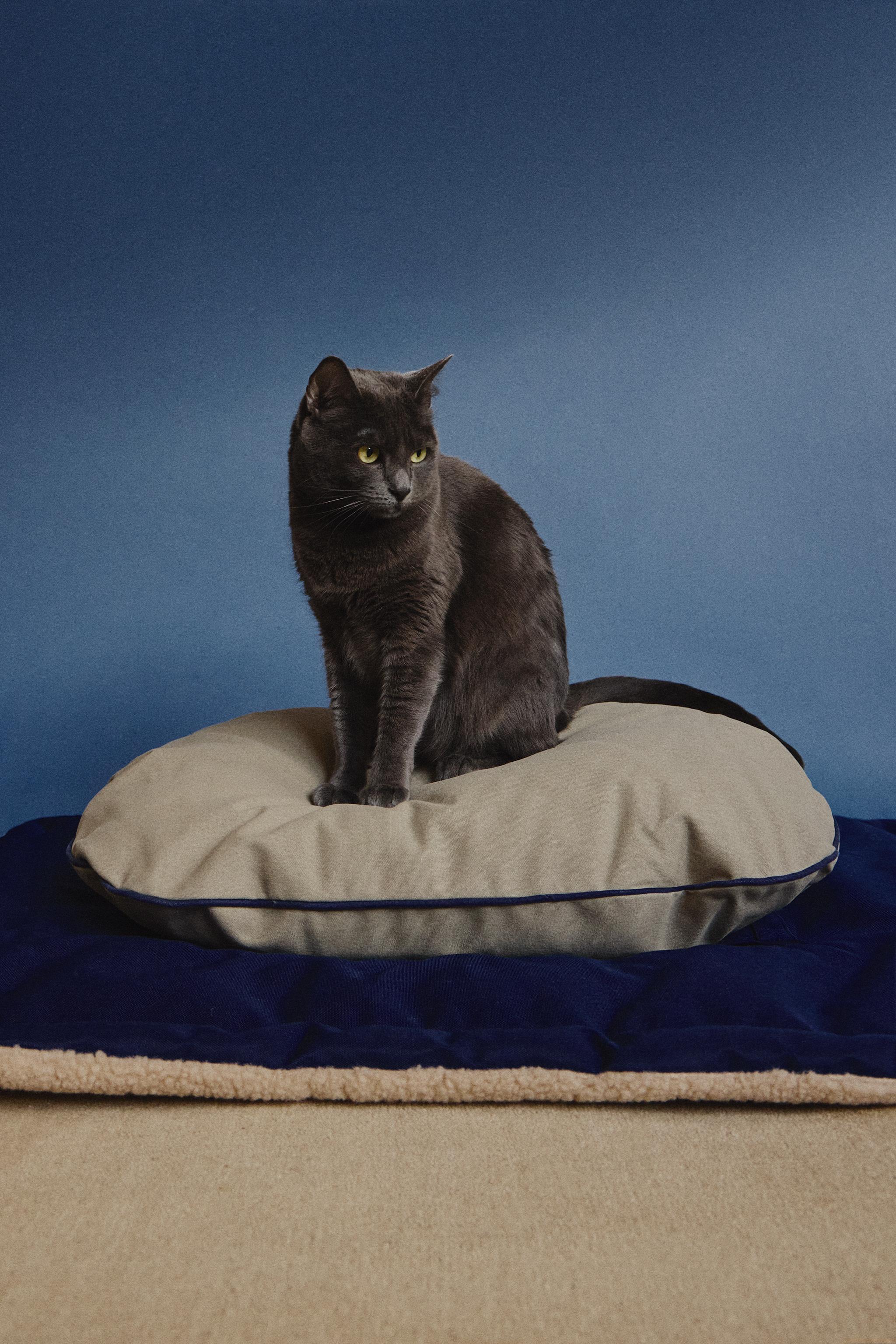 OVAL PET CUSHION