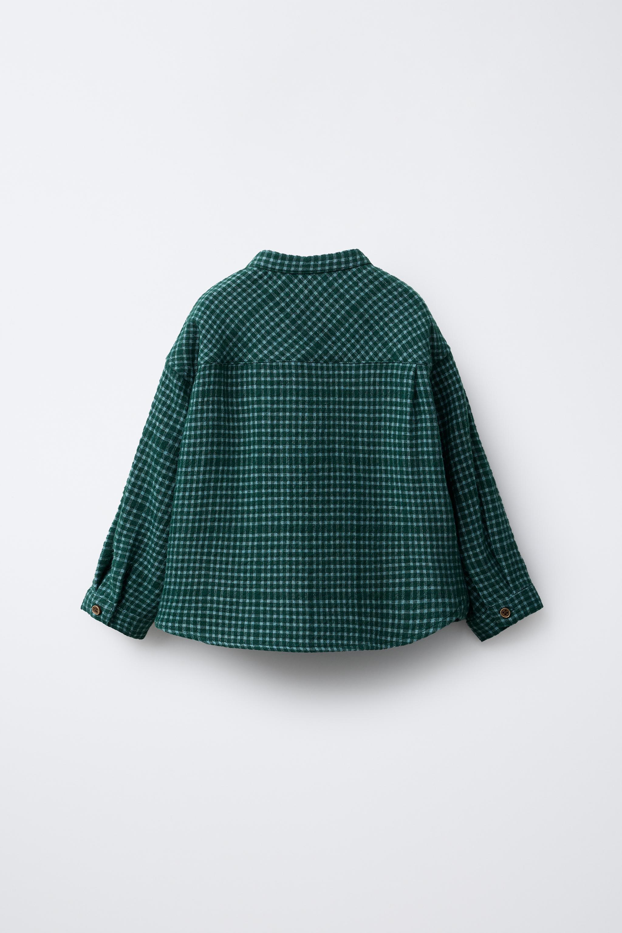 スタンドカラー チェック柄シャツ - グリーン | ZARA Japan / 日本