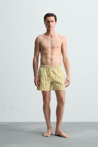 BAÑADOR MEDIO RAYAS - Lima de Zara - Imagen 0