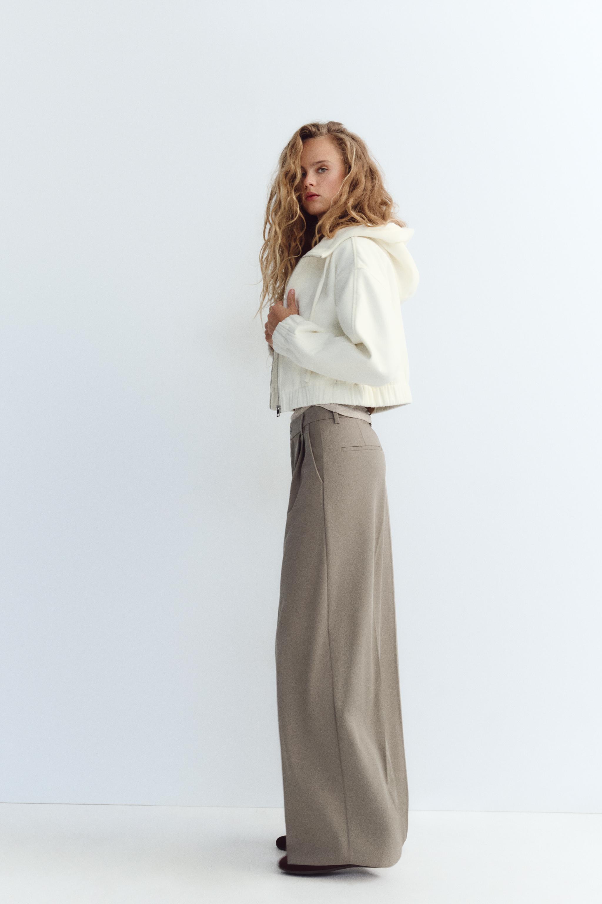 ダブルプリーツパンツ - チョコレートブラウン | ZARA Japan / 日本