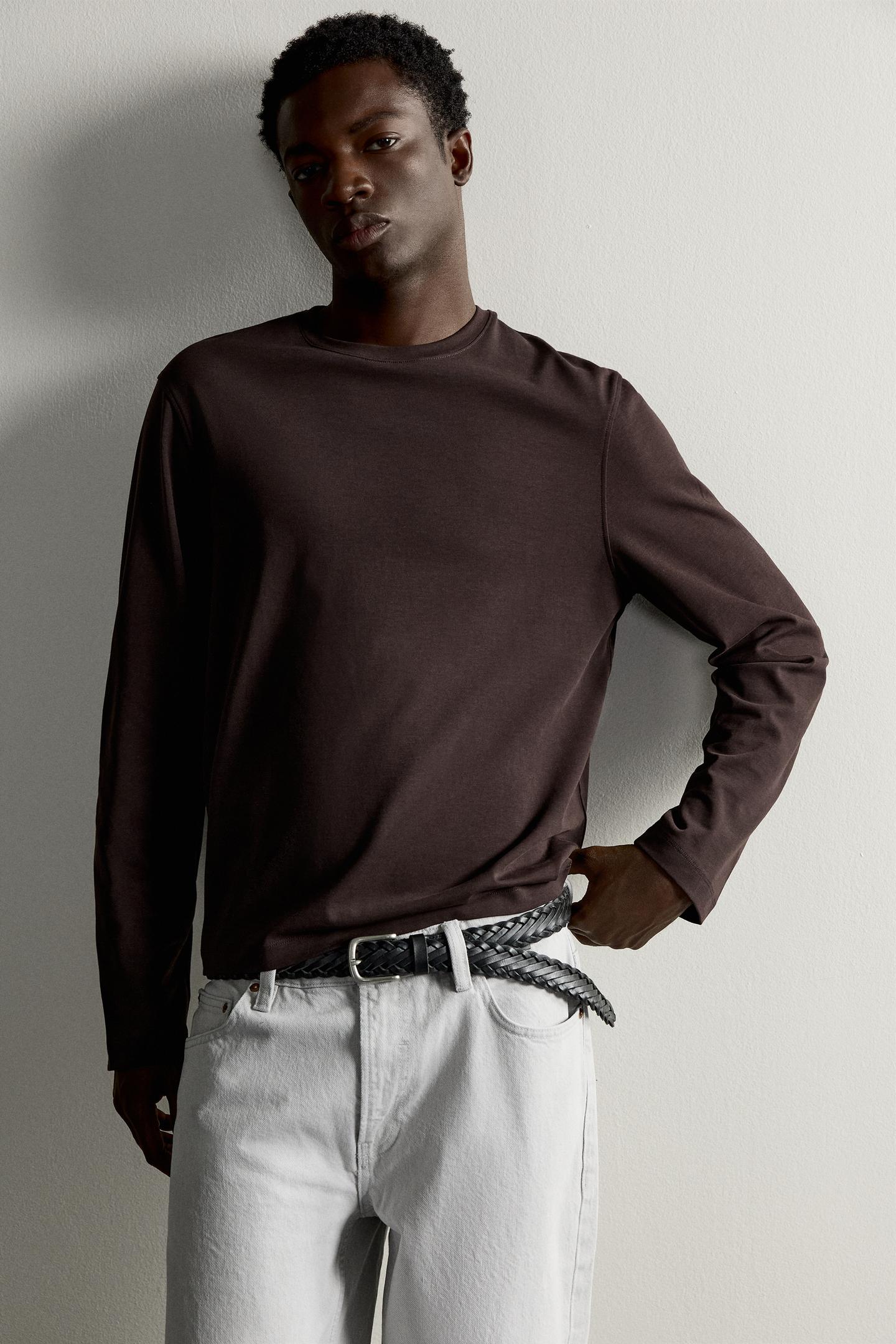 Мужская футболка Zara Regular Fit Long-Sleeve T-SHIRT, цвет: Коричневый — фото 5