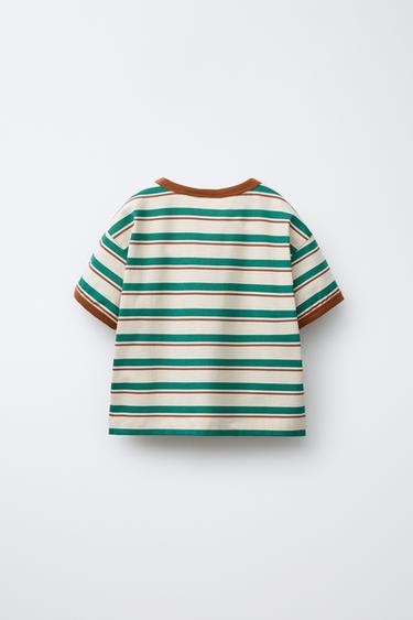 T-SHIRT RAYURES LISERÉS - Écru / Vert de Zara - Image 1