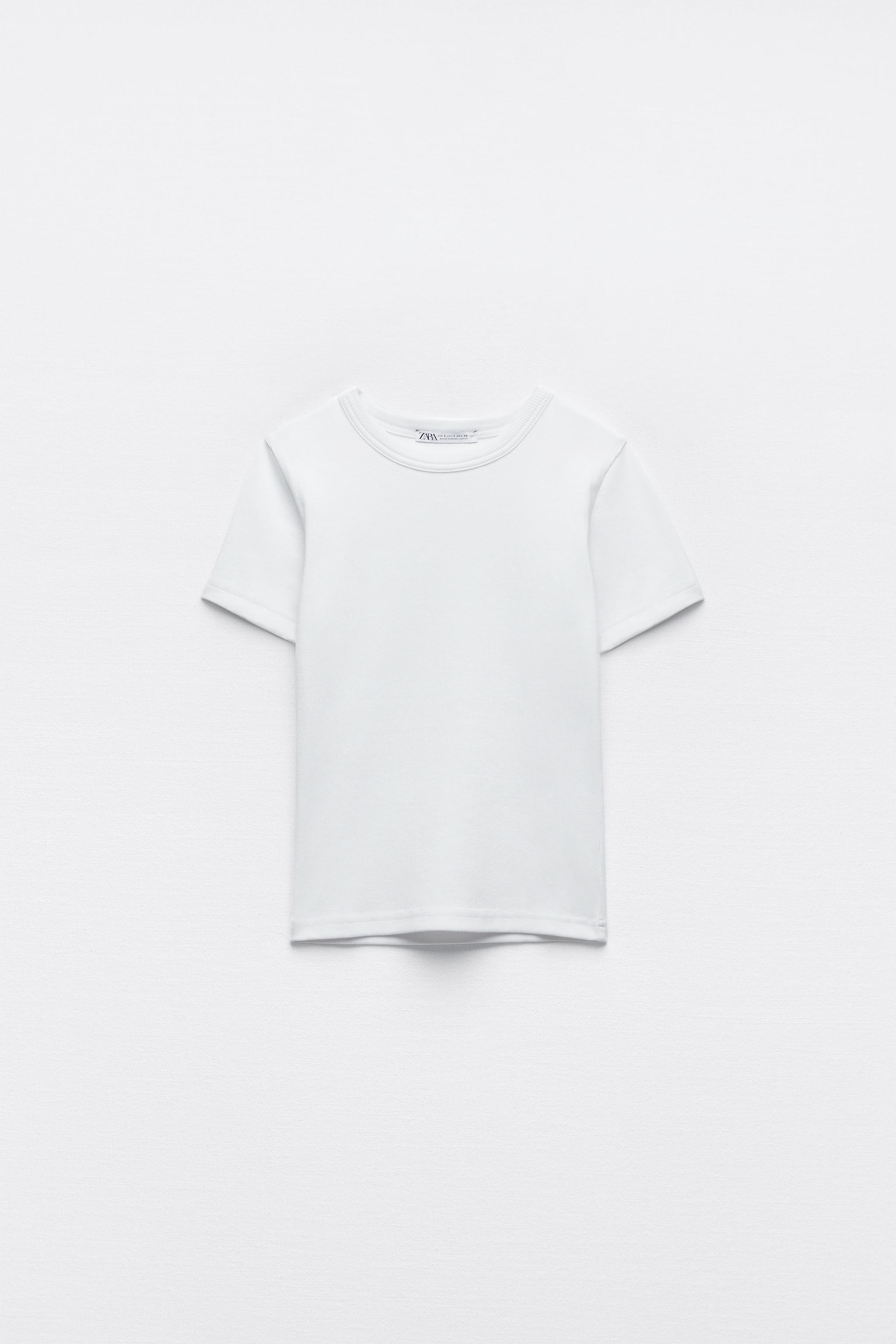 RIB T-SHIRT - Mid-ecru | ZARA Canada