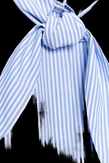 CAMISA RAYAS LAZADAS ZW COLLECTION - Azul / Blanco de Zara