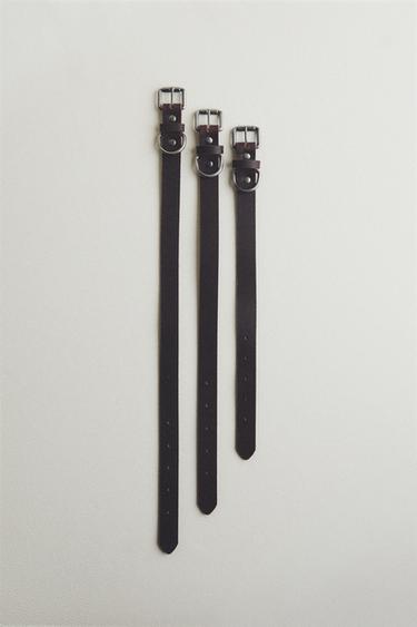 LEATHER DOG COLLAR - Brown by Zara - Image 5