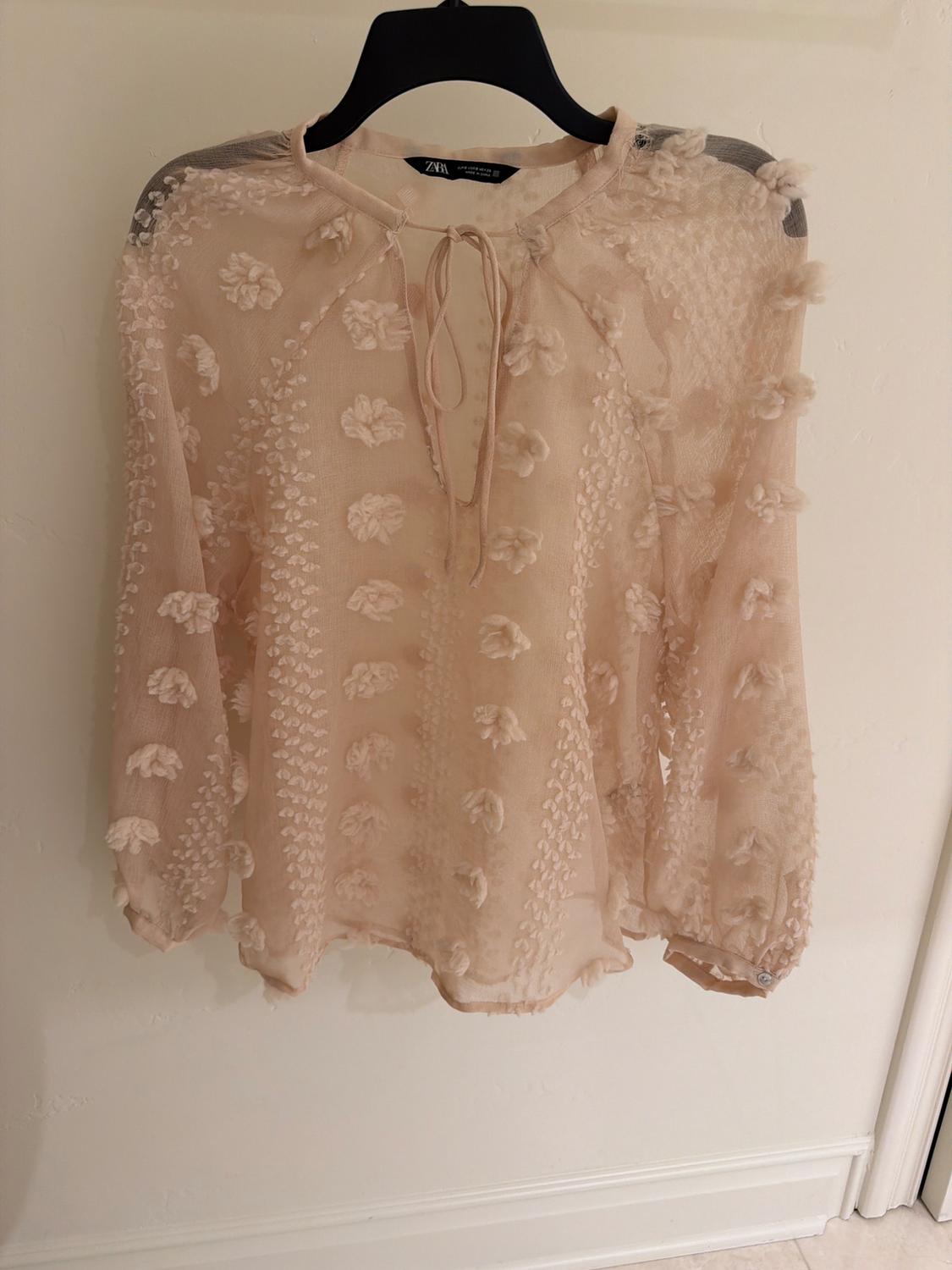 Semi-sheer beige blouse with embossed floral details, long sleeves, and a tie neck, hanging on a black hanger.