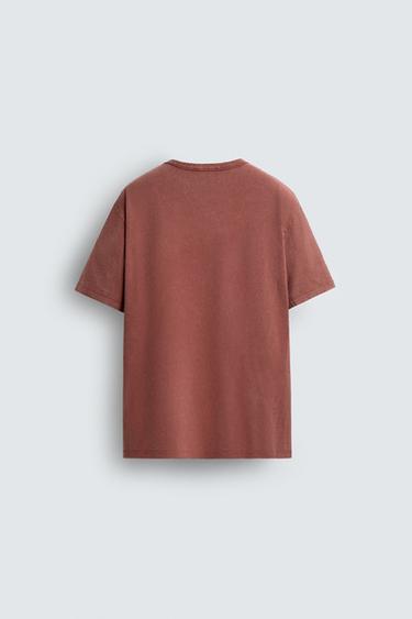 WASHED EMBROIDERED T-SHIRT - Russet by Zara - Image 6