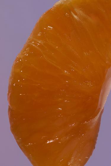 HIBISCUS EDP 90 ML (3.0 FL. OZ). -  de Zara - Image 1