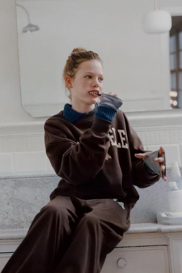 EMBROIDERED PUPPY SLOGAN SWEATSHIRT - Brown by Zara