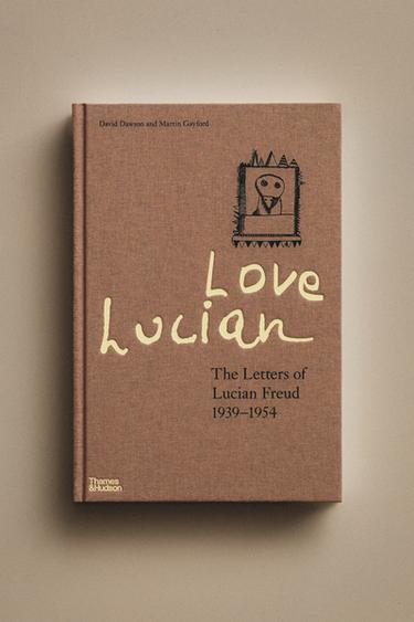 LIVRE LOVE LUCIAN - Gris de Zara - Image 4