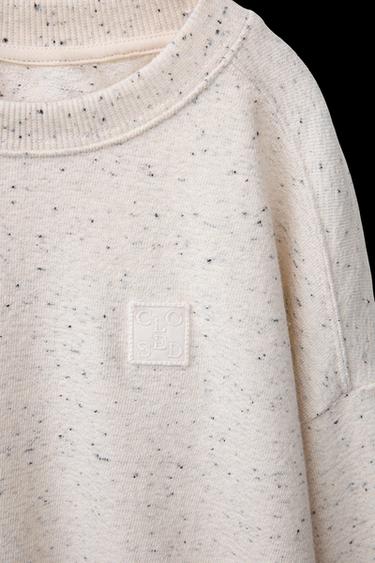 Zara CLOSED © BUTTON SWEATSHIRT - Gray / Beige