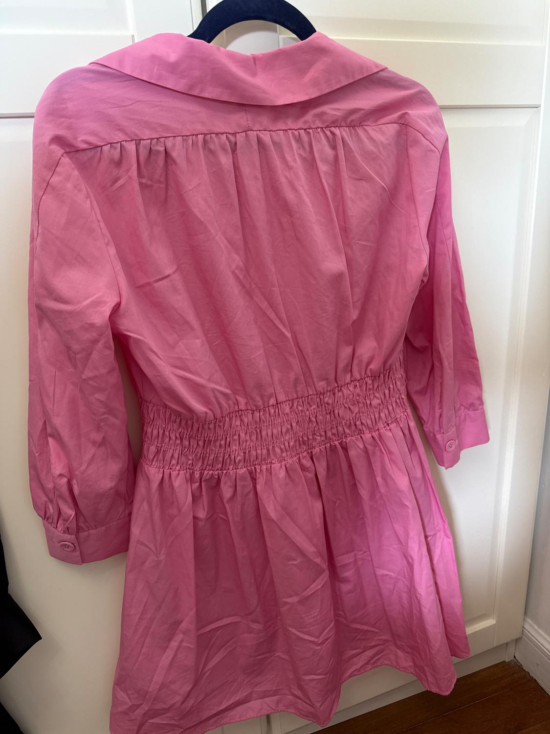 Pink dress seen from behind, with a collar, gathered waist, and buttoned sleeves. It's hanging on a black hanger over a white door.