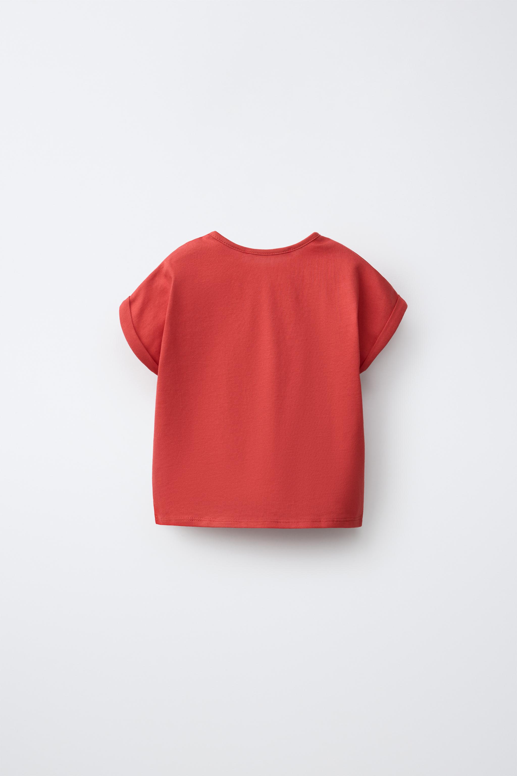 トップス r.barrio10 EMBROIDERED CITY T-SHIRT - Red | ZARA United States