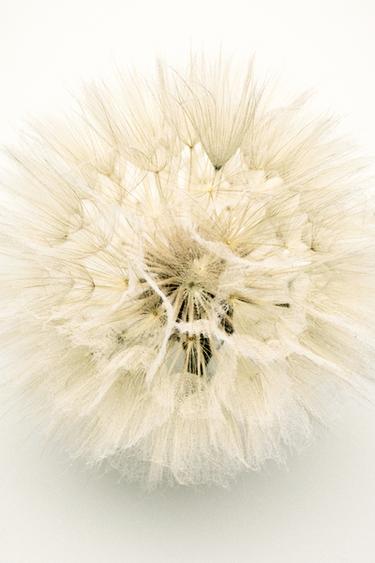 MARBLE FRAGRANCE EDP 100 ML / 3.38 oz - TINTED LEATHER by Zara